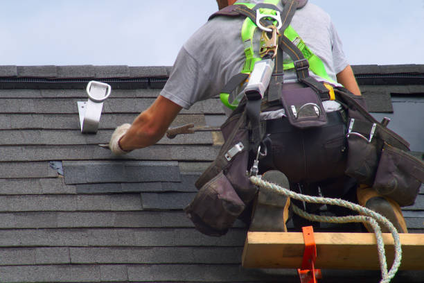 Best Fascia and Soffit Installation  in Madison, GA
